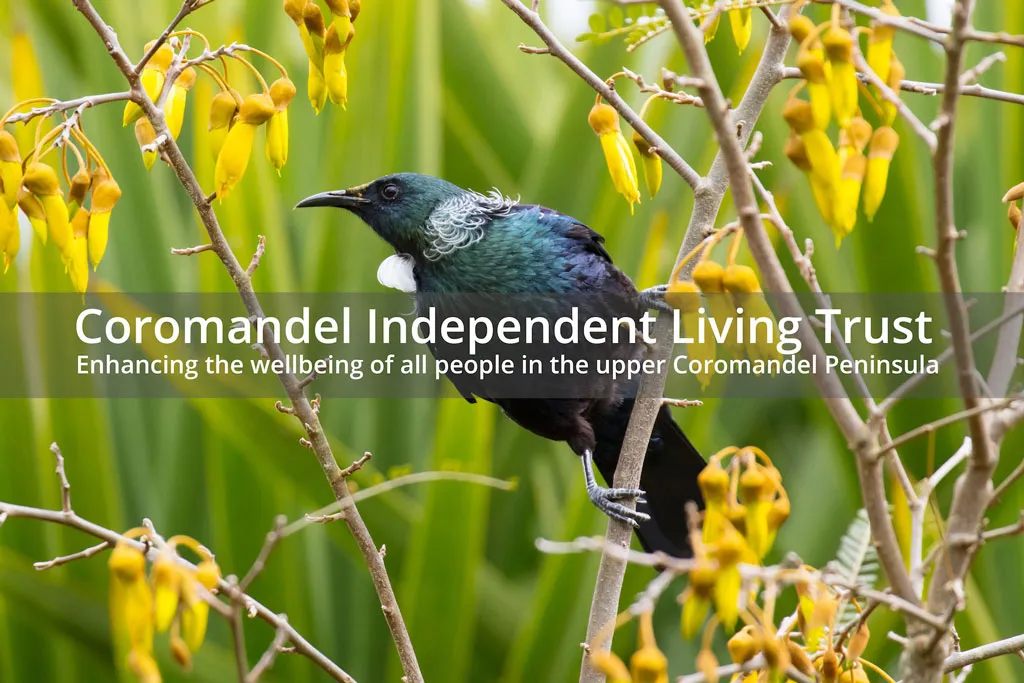 Coromandel Independent Living Trust